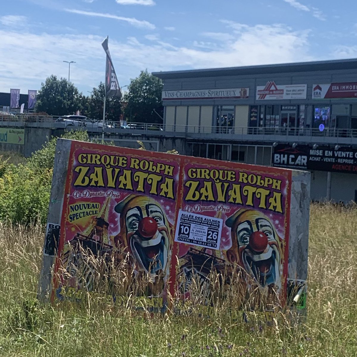 odile_TM's tweet photo. Je me sens pensive @L_Moncondhuy @VilledePoitiers  les cirques avec animaux sauvages sont ils encore tolérés sur  votre ville ? A moins que je ne me trompe c’est de la maltraitance animale non ? @ASPASnature @onevoiceanimal @FBB_Officiel https://t.co/ytv6K827Fp
