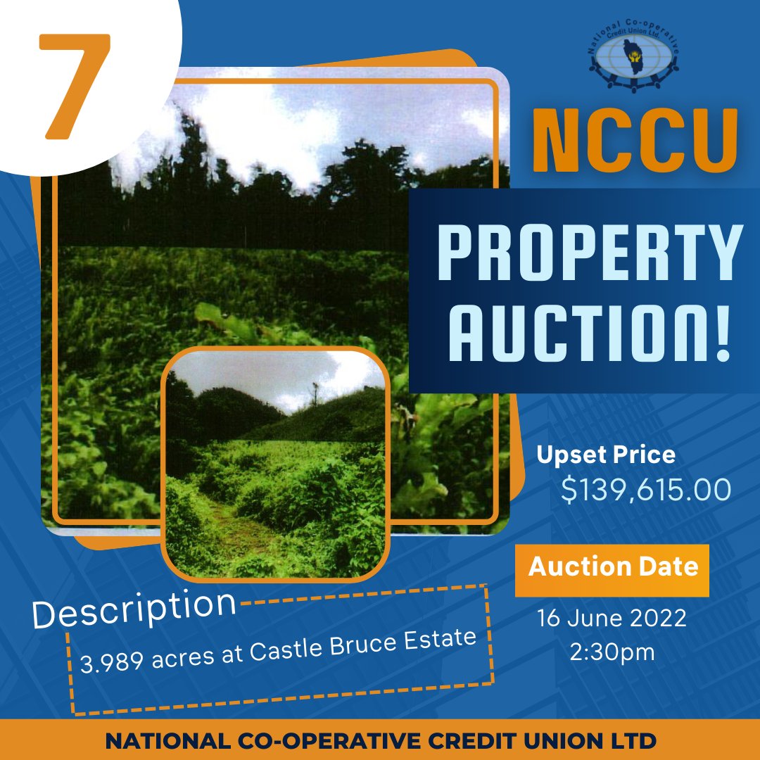 Hear ye hear ye step right up we have more properties available so ... let’s start the bidding at ... #auction #property #propertysales 
More info at 2552146/2156 or dregiste@nccudominica.dm