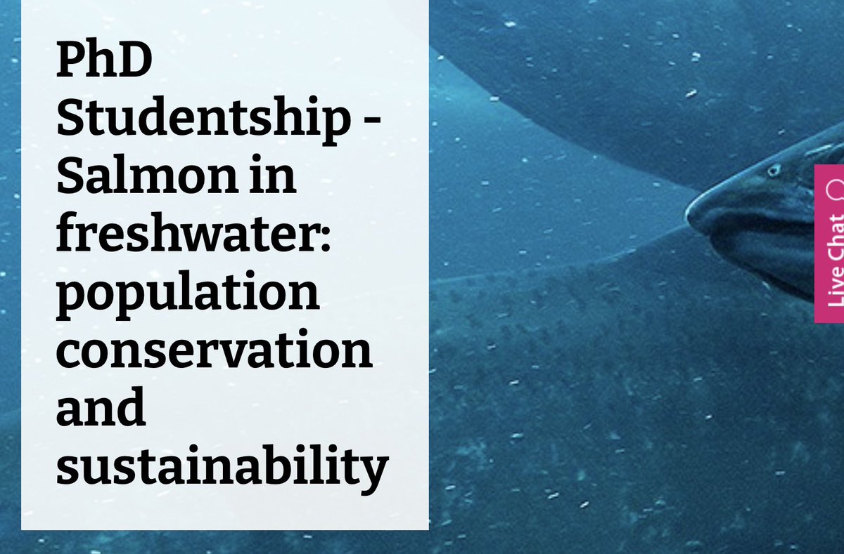 Adrian Pinder (@aidypinder) on Twitter photo Exciting opportunity to do a PhD on salmon on Rivers Severn/Teme. Come and join us!! bournemouth.ac.uk/study/courses/… . Note short deadline = 27/6/22. Please RT <a href="/fsbi/">Brian Taylor</a> <a href="/IFMFish/">Institute of Fisheries Management</a> Exciting opportunity to do a PhD on salmon on Rivers Severn/Teme. Come and join us!! bournemouth.ac.uk/study/courses/… . Note short deadline = 27/6/22. Please RT <a href="/fsbi/">Brian Taylor</a> <a href="/IFMFish/">Institute of Fisheries Management</a>