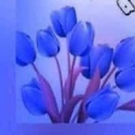 sashalyo's tweet photo. #صورة_ملف_شخصي_جديدة https://t.co/EIn8QVegI1