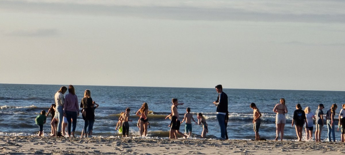 henk nijh⭕f tweet media