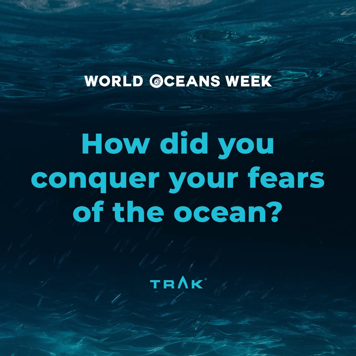 World Oceans Week - Day 10! 
Every day we ask a different question about our relationship to the oceans around us… today’s is: “How did you conquer your fears of the ocean?”
We would love to hear from you!  
Please share and comment.
#TRAK #WorldOceansWeek #WorldOceansDay