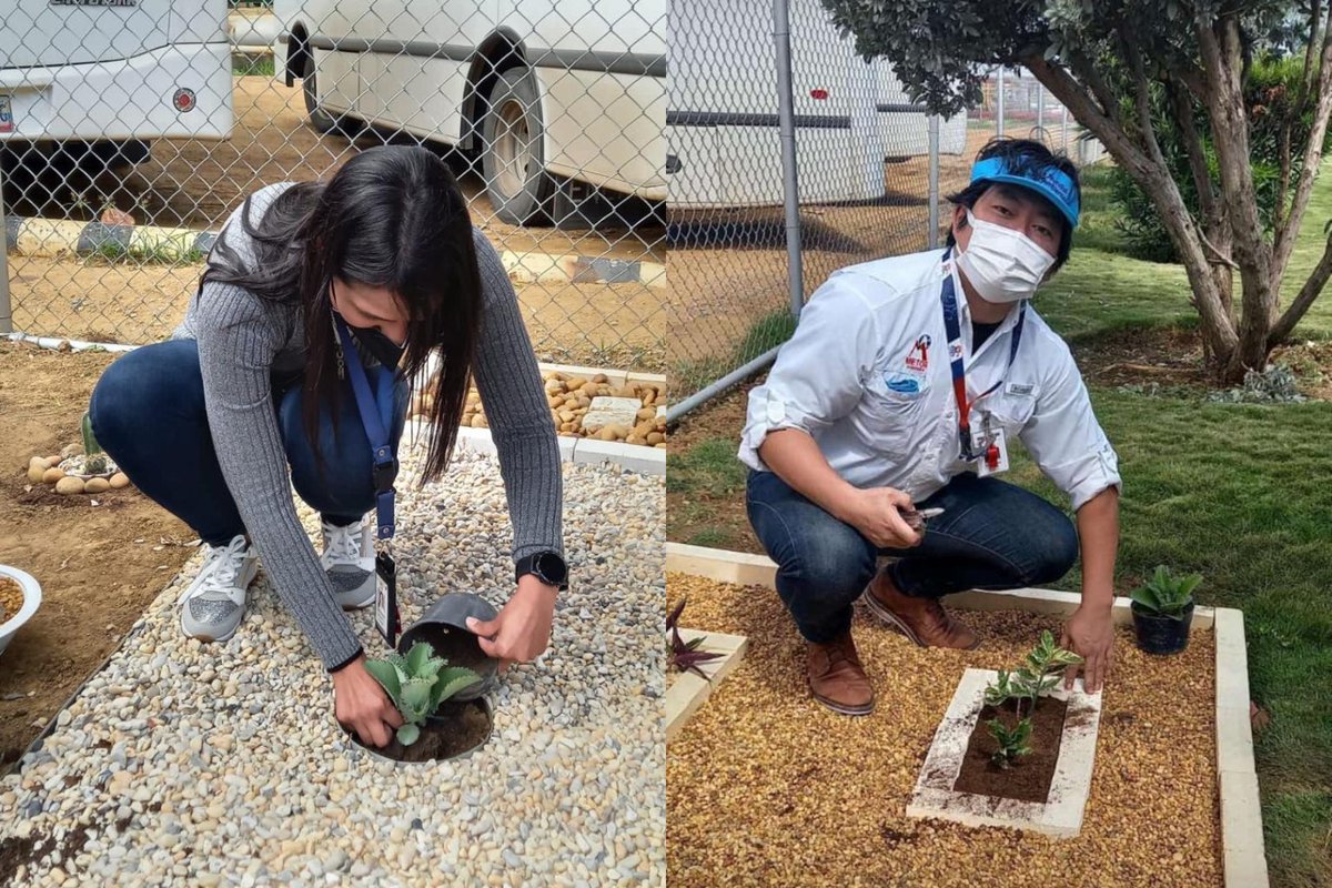 Hoy #Metor en conmemoración del Día Mundial del Medio Ambiente, realizó la actividad de Siembra de Árboles 🌳 y reinauguró el #Vivero
Todo construido con material reutilizable y reciclado de partes operacionales y administrativas de nuestra empresa.