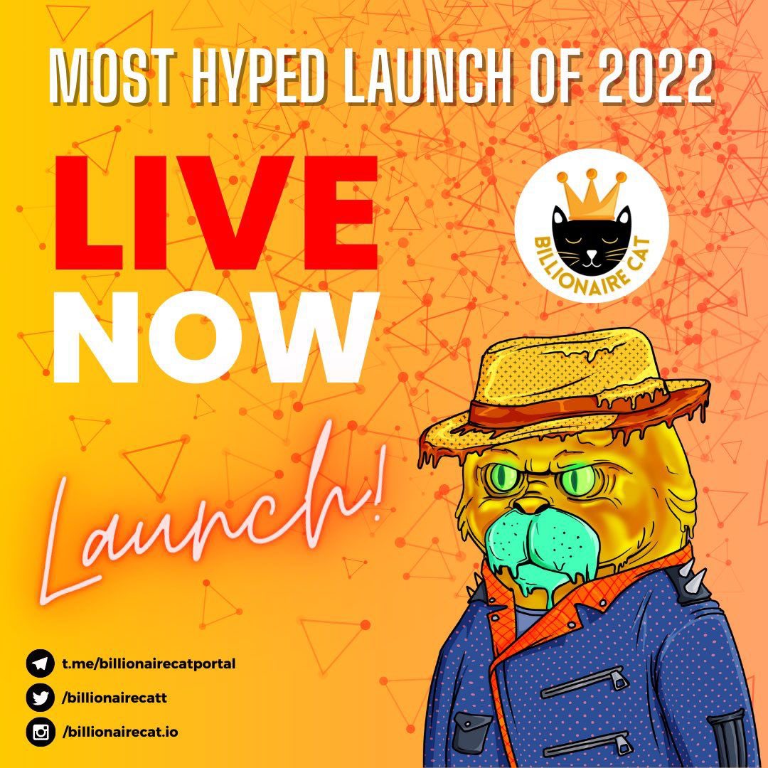 APE TIME! Hyped launch #BSC 

Team is pushing this to the moon 🌙 

#Billionairecat 

Buy: pancakeswap.finance/swap?outputCur…

Presale guys are out. Time to APE. Reversal starts now!

t.me/Billionairecat…

#BSC #100xgem