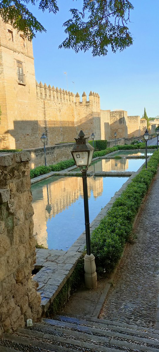 Guillermo Catalano tweet media