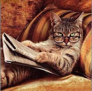 cfwriter's tweet photo. I was at a regular "How to Make the Library Catalogue Even Better" meeting this week. Talking about search strategies, I predictably turned the discussion towards "Kittens AND Newspapers".
Well, one of the developers was ready for me!
#Caturday #TeamsChat #ExcellentColleagues https://t.co/JOLpy7uNXy