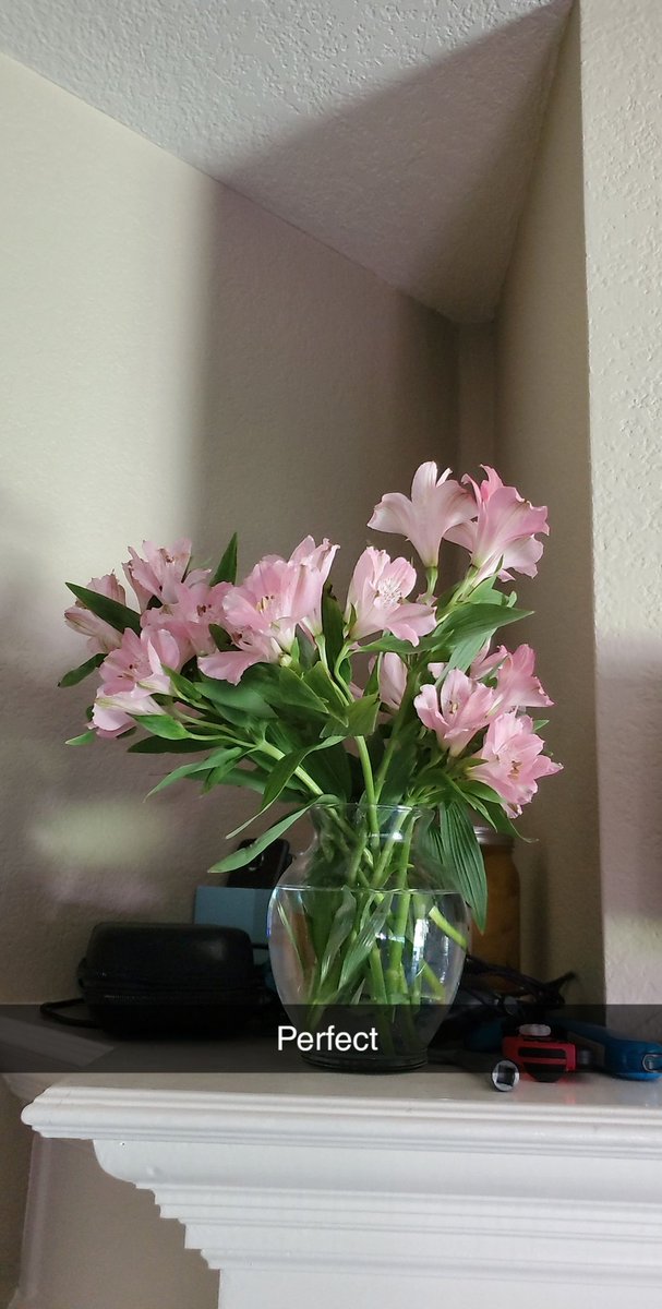 MayaAshby's tweet photo. My beautiful birthday flowers https://t.co/VLNOO0xwpM