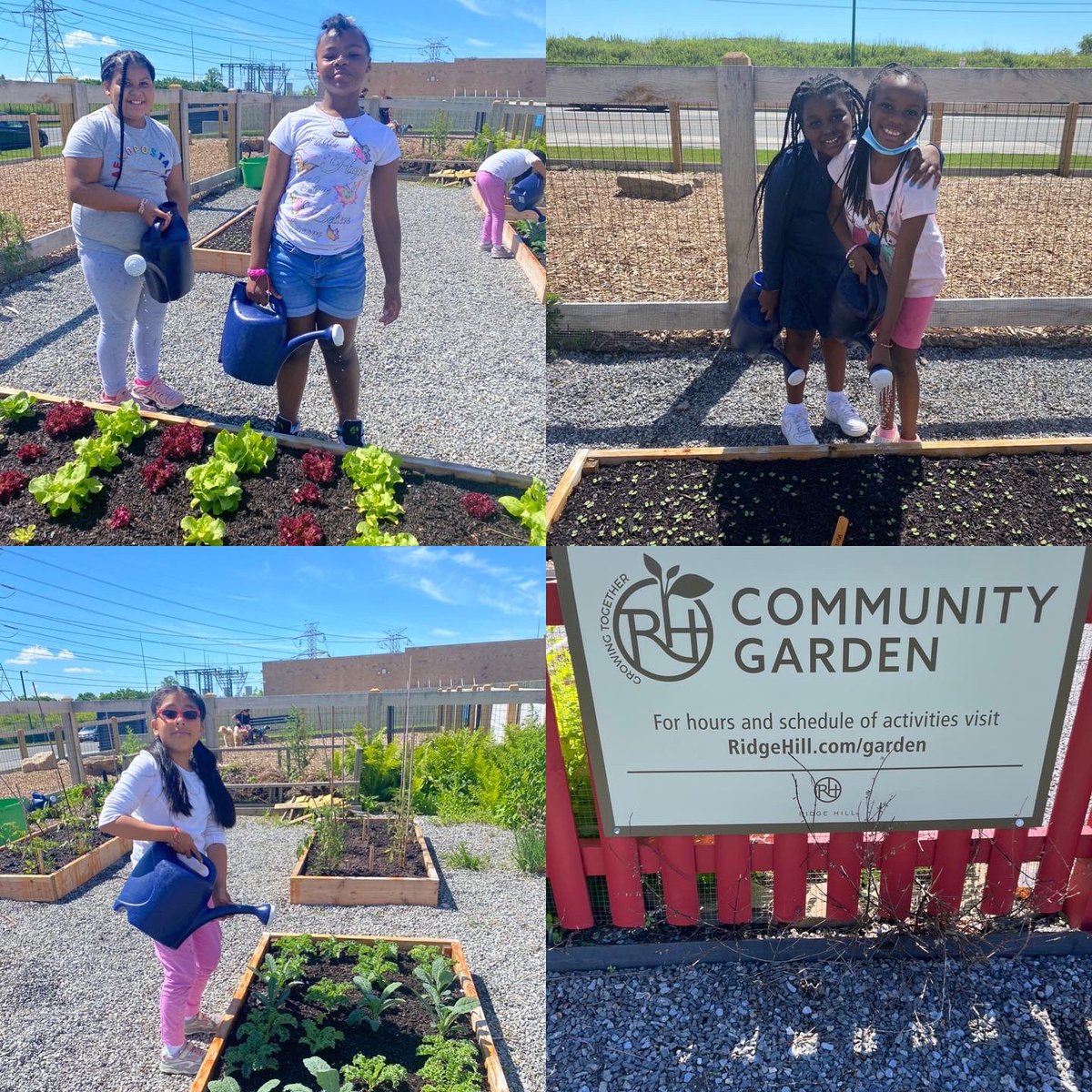 school9pride's tweet photo. Our 3rd graders got to take a trip to the Ridge Hill Community Garden! πͺ΄π±πΏπ #ridgehillcommunitygarden #ridgehill #Yonkerspublicschools #School9
@YonkersSchools
@quezada1229 @RcollinsJudon
@MayorMikeSpano https://t.co/aoBSJBxML7