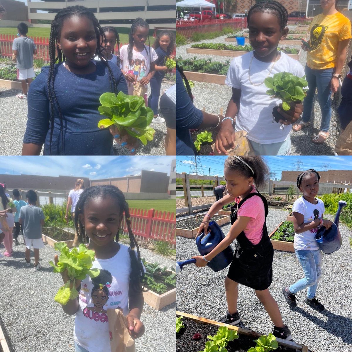 school9pride's tweet photo. Our 3rd graders got to take a trip to the Ridge Hill Community Garden! πͺ΄π±πΏπ #ridgehillcommunitygarden #ridgehill #Yonkerspublicschools #School9
@YonkersSchools
@quezada1229 @RcollinsJudon
@MayorMikeSpano https://t.co/aoBSJBxML7
