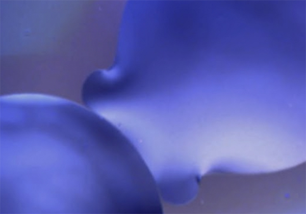 Nanowerk's tweet photo. Researchers develop 'attacking' droplets as a step towards biomimetic nanosystems (w/video)
https://t.co/heuSTW06Db #nanotechnology #microfluidics #nanofluidics @dr_kuato https://t.co/nHPHST4q8q
