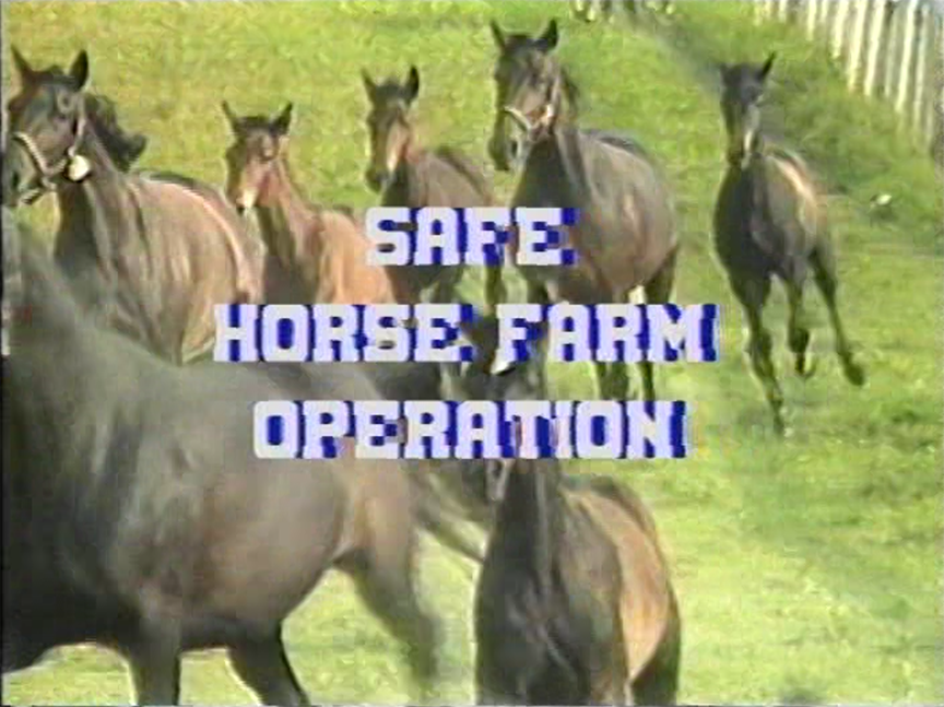 New Jersey Equestrian Safety Week is the perfect time to check your tack room! 

For resources on keeping your safety equipment in good condition and a video on "Safe Horse Farm Operations," visit esc.rutgers.edu/2022NJESW.

#RUESC #Rutgers #NJESW #MindYourMelon