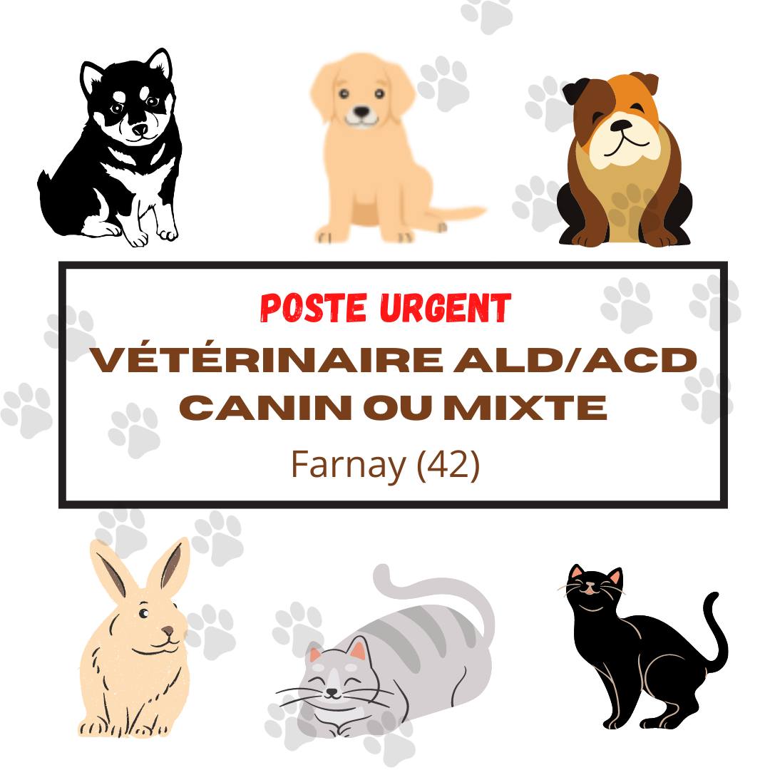 RhAxio's tweet image. [ Recrutement 🅤🅡🅖🅔🅝🅣 - Farnay (42) ]

Venez découvrir 𝐧𝐨𝐭𝐫𝐞 𝐚𝐧𝐧𝐨𝐧𝐜𝐞 : bit.ly/3r7U63B
T𝐨𝐮𝐬 𝐭𝐲𝐩𝐞𝐬 𝐝𝐞 𝐩𝐫𝐨𝐟𝐢𝐥𝐬 : CDD ou CDI, temps plein ou temps partiel, débutant ou confirmé, canin ou mixte