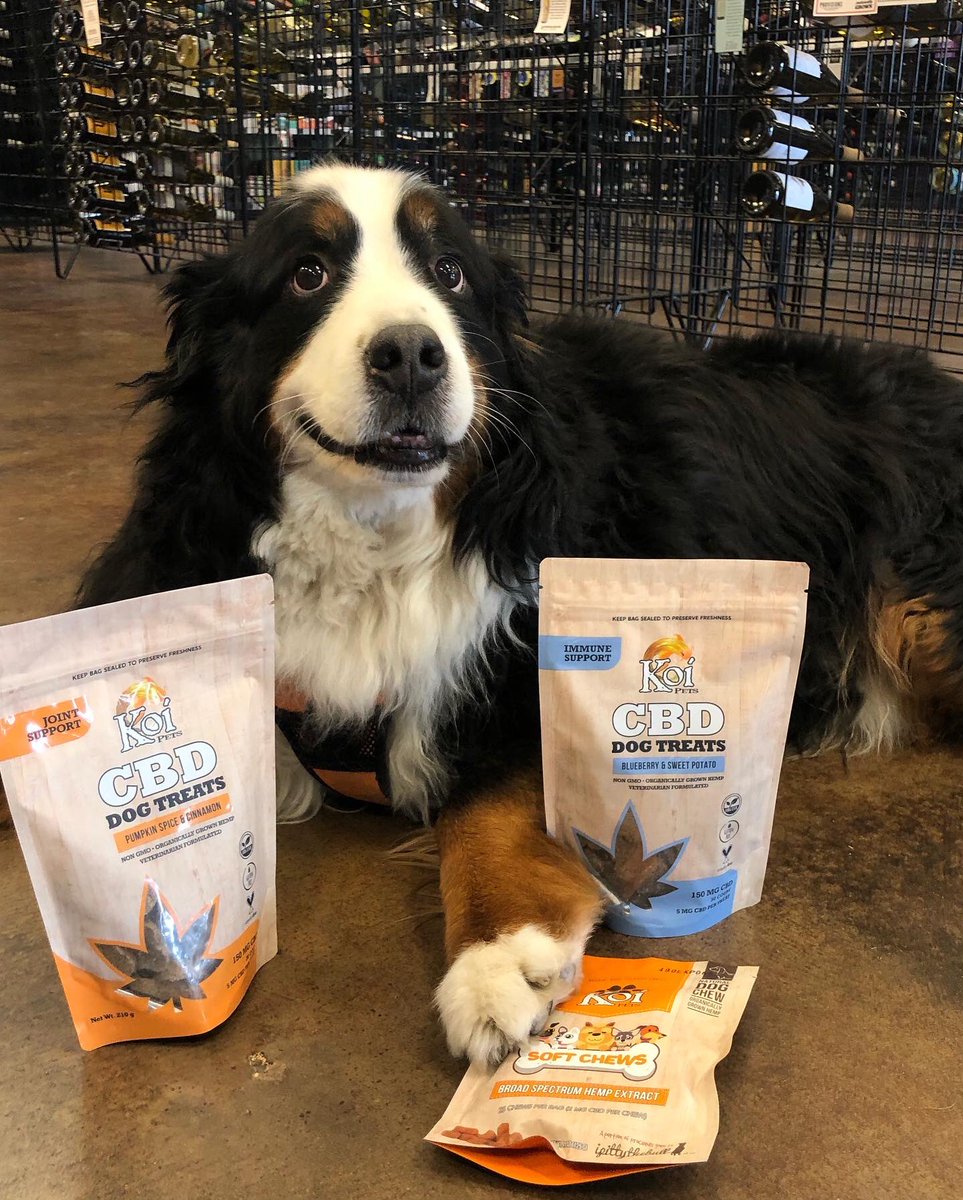Ivan says your dog needs a treat! <a href="/KoiCBD/">Koi CBD</a>