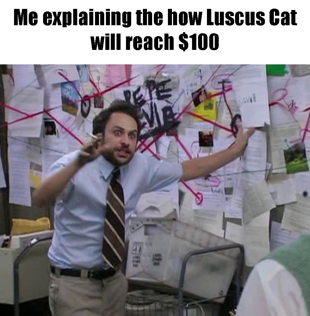 Luscus Cat tweet media