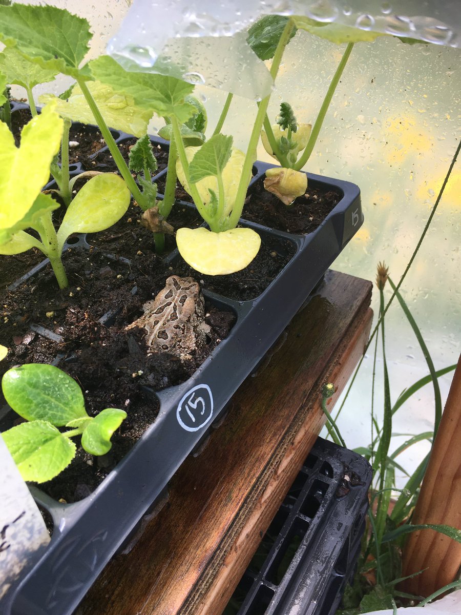 I find it comforting to witness a creature exist here on Earth without being concerned with the petty squabbles of mankind.