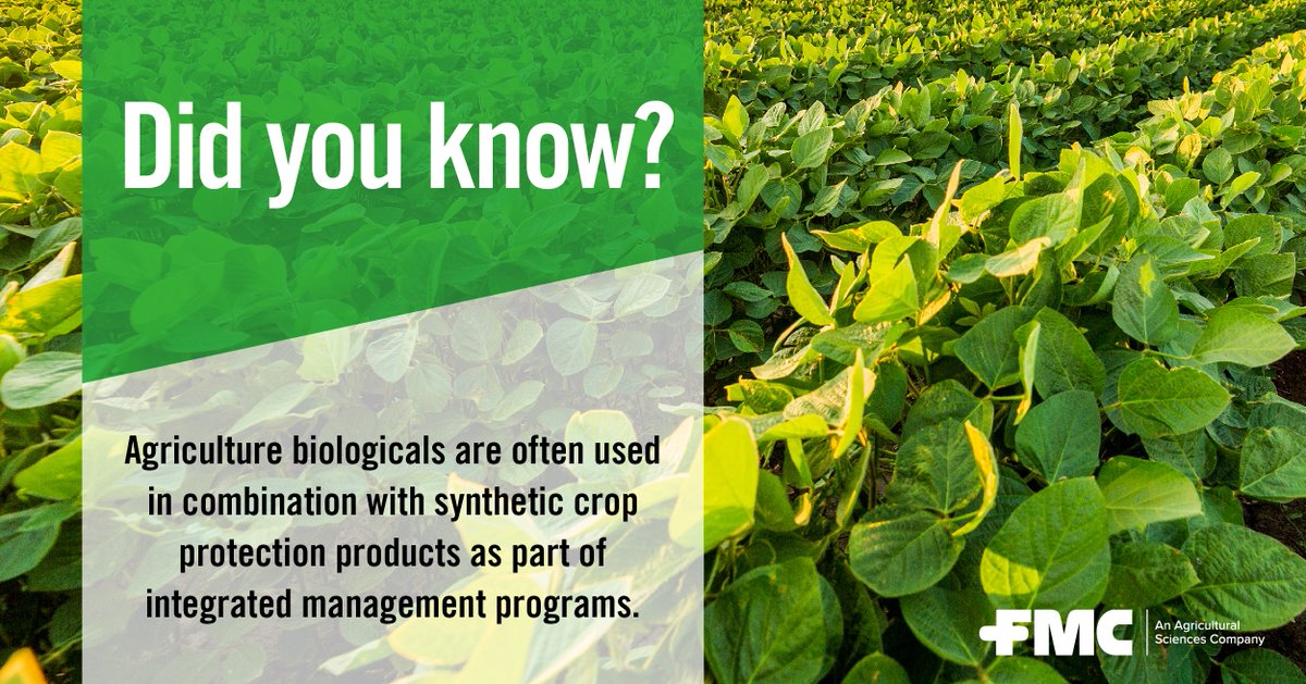 FMCAgUS's tweet photo. Crop biologicals make a great partner.  🤝
Do you have experience with biological crop protection? 
We're expanding our biological offerings. Learn more about our latest innovation, Zironar™ biofungicide/bionematicide now. https://t.co/bNqEQBCbJC #plant22 #cropprotection https://t.co/0QCCF2RX3p