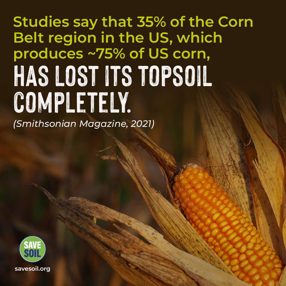 EarthxFilm's tweet photo. Healthy soils are essential for healthy plant growth, human nutrition, and water filtration. Save and protect the soil and the future of our children! 35% of the Corn Belt region in the US has lost its topsoil completly! Let's make the change today! #EarthX https://t.co/EY9QHk7SAQ
