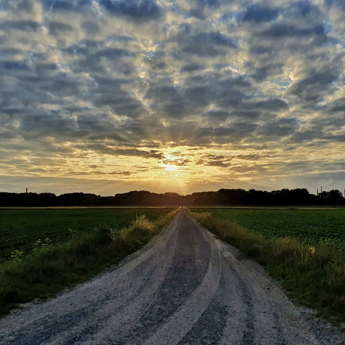 SassenachPlace's tweet photo. #MyMPC #runningday a Intervall Run was on the List ..it was extra hard after a long work day but the wonderful sunlight was worth every step outside ..thanks to my husband @Luc_Jimmy_Blue who convinced me to just do it ππ
@MyPeakChallenge
#runpeakerrun #intothesun #cardio https://t.co/BK4YY3Mply