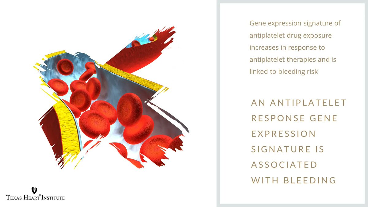 Texas_Heart's tweet photo. An antiplatelet response gene expression signature is associated with bleeding | #THIPubs #THIFellowship @JordanGales5 | @ESC_Journals #CardiovascRes https://t.co/fkGOSEElGT https://t.co/RfiGb1Ccsm