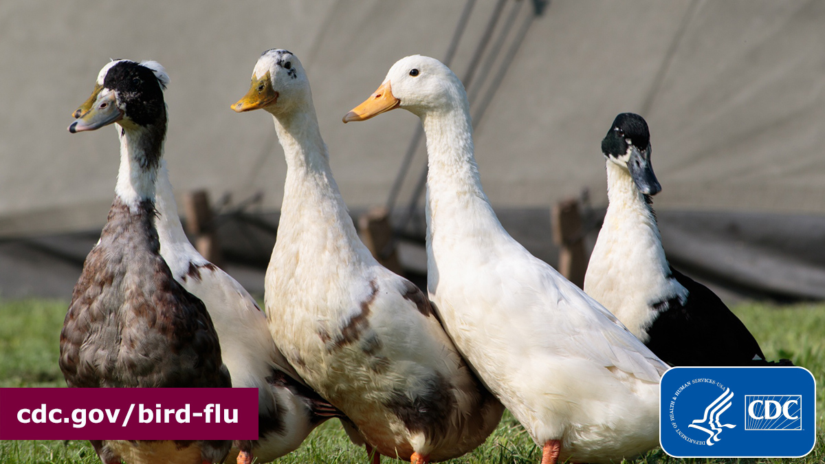 CDC on Twitter ".Medscape recently published a conversation with