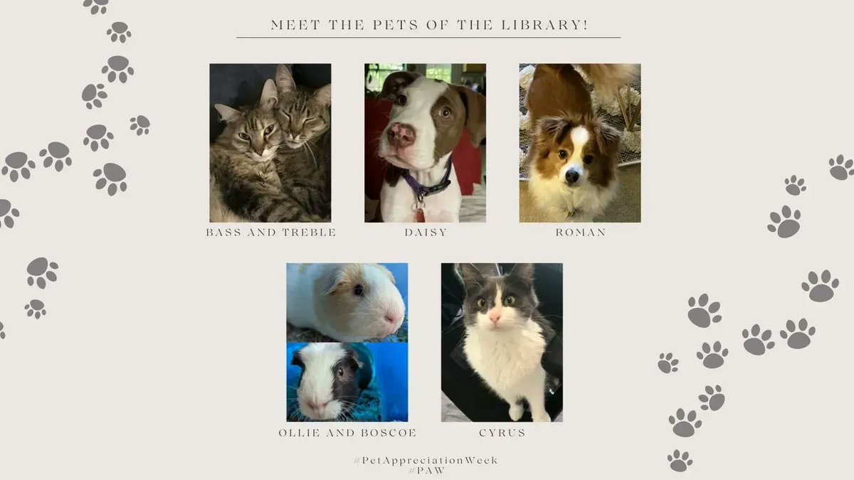 FSUMedLibrary's tweet image. Happy #PetAppreciationWeek! Meet the fluffy friends of our #FSUMedLibrary team. Short biographies of each pet can be read on our Facebook: buff.ly/3QfdPcb

#PAW #CutePets #petsoftwitter