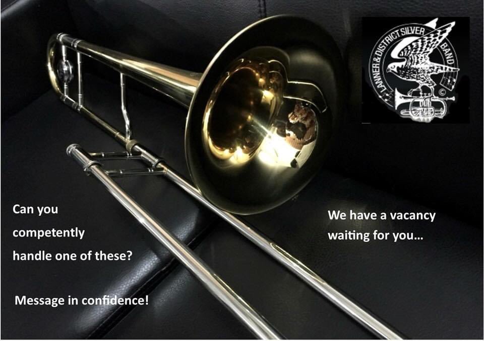 Lanner Band (@lanner_band) on Twitter photo 