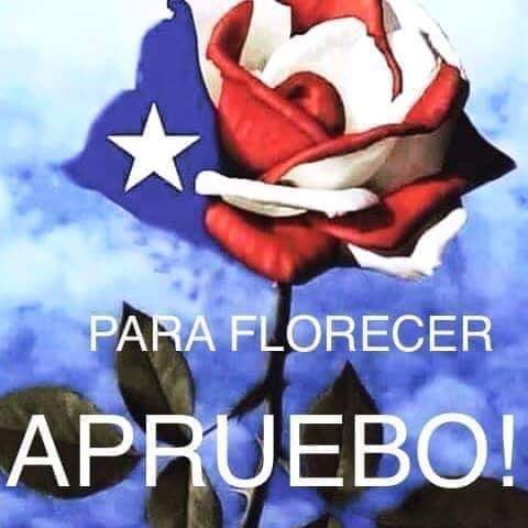 DaniloTapiaDel's tweet photo. Escuchando una canción de #LosPericos que buenos recuerdos de un matrimonio en #LosAngeles #Tucapel entre medios de los cerros,de mi amigo #LuisMiguel,ahora viviendo en un #ostracismo #autoimpuesto
#BuenAmigo
#BancoEstadoSegurosMiente https://t.co/e5rl9UgoGB