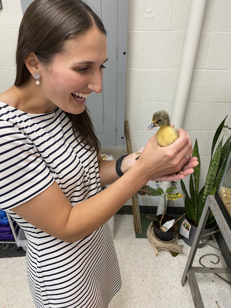 Herkimer_Ag's tweet image. Love to see the community here @HerkimerCSD come together for these little #ducklings ! How cute are they!? #cute #AgEduction #AgTeacher #highschool #middleschool #teacher #HerkPride #hatching