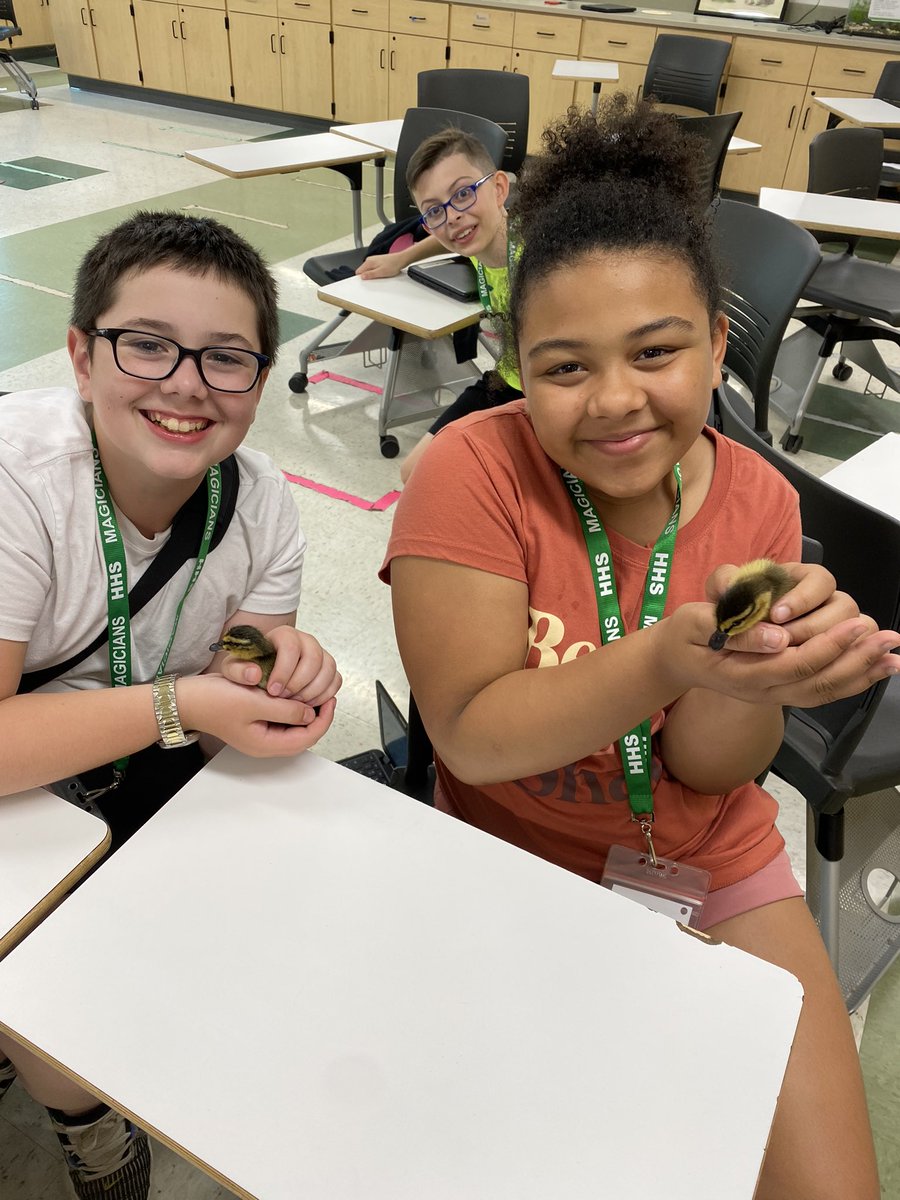 Herkimer_Ag's tweet image. Love to see the community here @HerkimerCSD come together for these little #ducklings ! How cute are they!? #cute #AgEduction #AgTeacher #highschool #middleschool #teacher #HerkPride #hatching