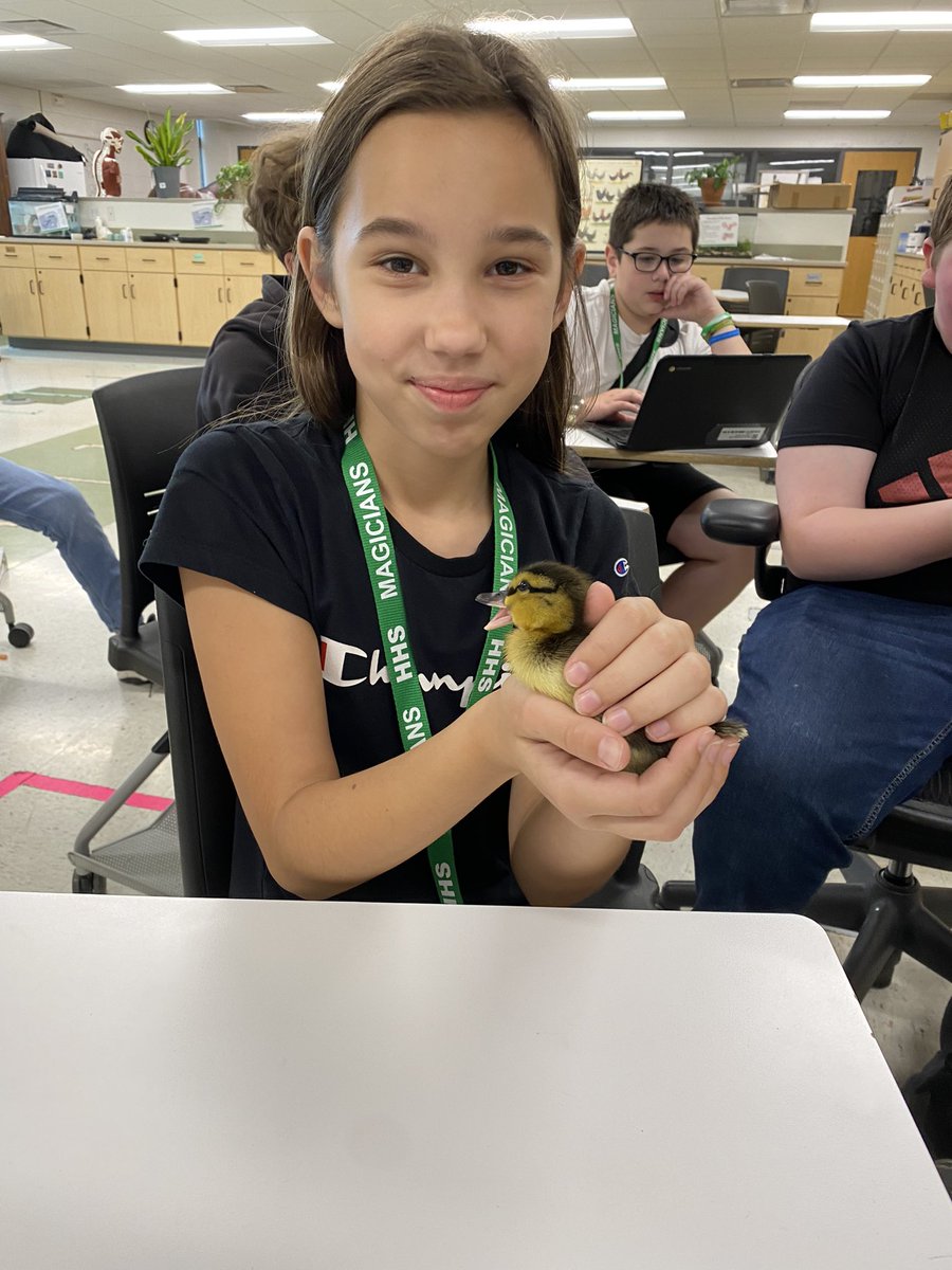 Herkimer_Ag's tweet image. Love to see the community here @HerkimerCSD come together for these little #ducklings ! How cute are they!? #cute #AgEduction #AgTeacher #highschool #middleschool #teacher #HerkPride #hatching