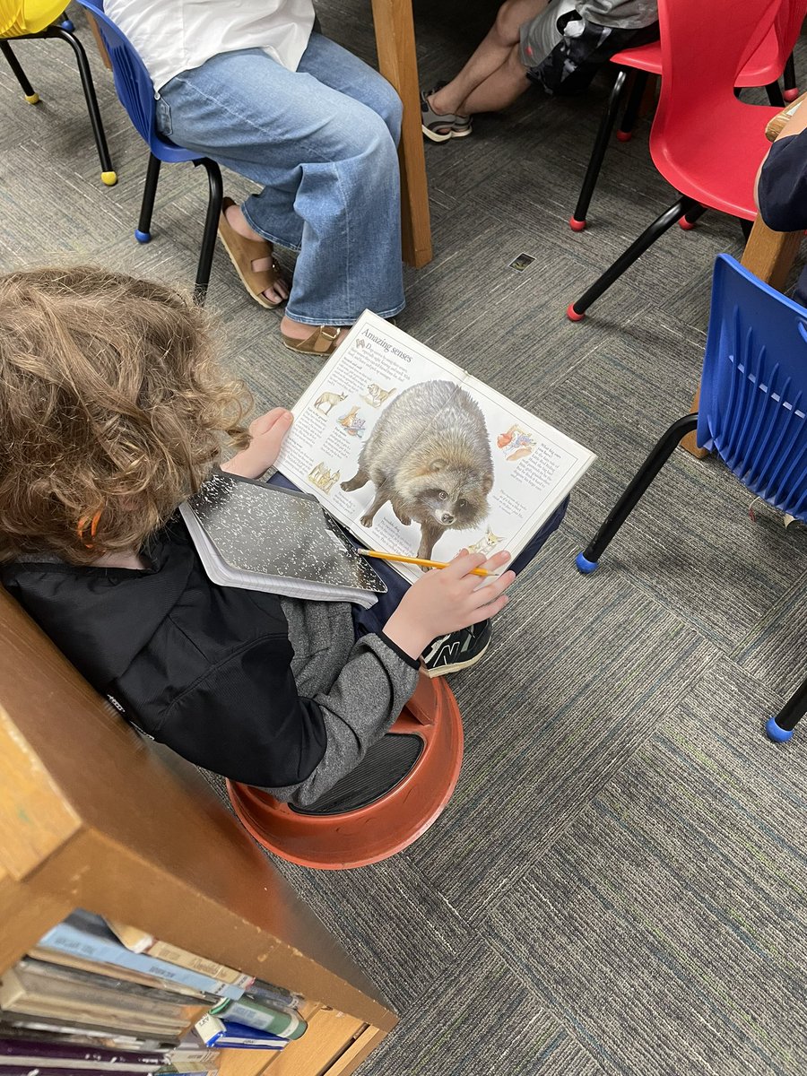 MsPoliti's tweet photo. Wrapping up our research unit in the library today! https://t.co/7v6WLU9AvK