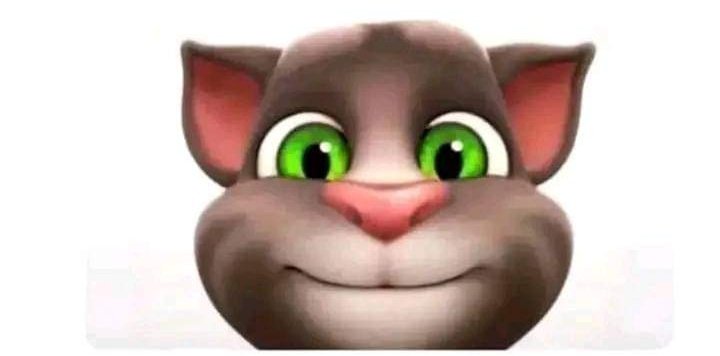PSYCHO2199's tweet photo. I used to slap this poor cat for no fucking reason 😭😭 https://t.co/LcKQeWYEti