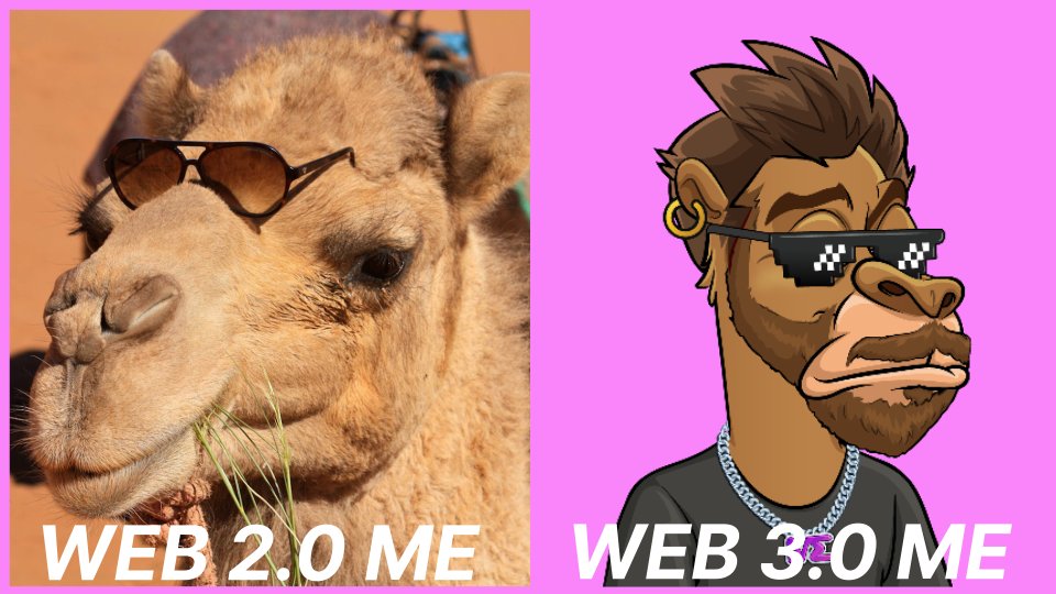Chilled Camels tweet media