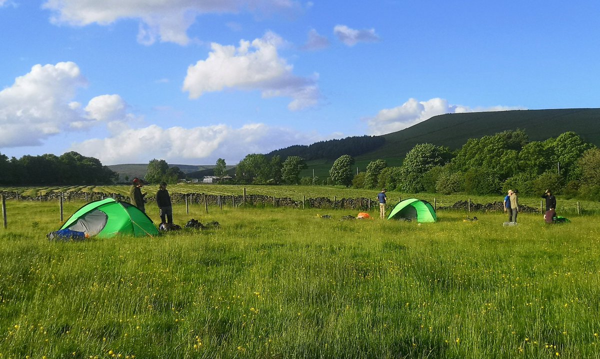 Amy Lemon tweet media