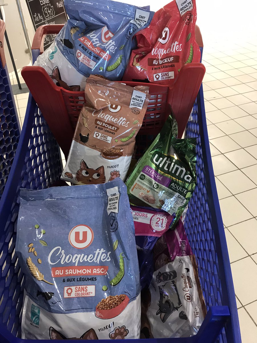 didoufri's tweet photo. Récolte de la journée de 10h: 2 caddies 1/2… c’est déjà ça mais on voit que les gens sont très sollicités et que la crise est là… on recommence demain! On va y arriver!
#chats #chatslibres #herault https://t.co/T35YLzraU7