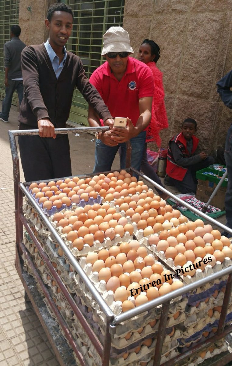 thedrosg1's tweet photo. Locally produced #organic eggs are safely delivered for customers in #Asmara and other cities in #Eritrea https://t.co/WMhwDxtjZ5
