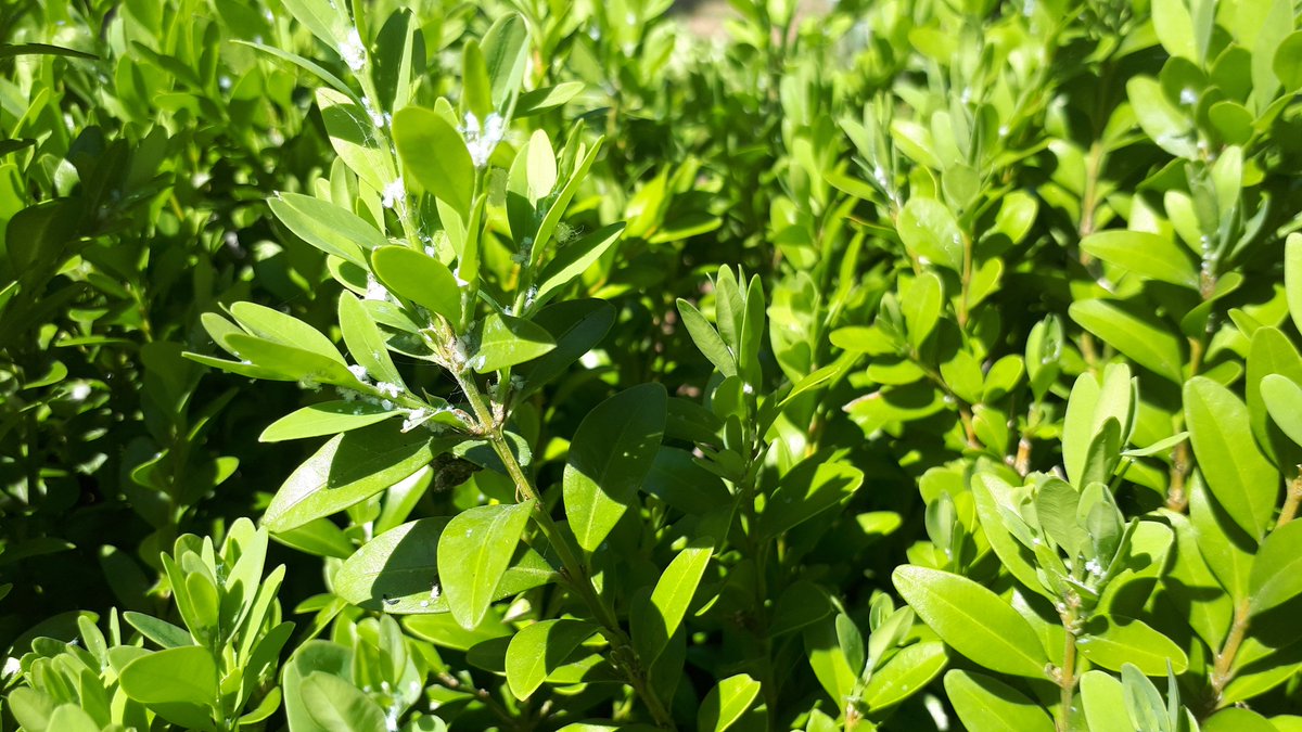 Šo var noteikt? Kāds briesmonis ir gaidāms? Un kā var tikt galā? <a href="/adalia62474704/">Voldemārs Spuņģis</a>  <a href="/UPiterans/">Uģis Piterāns</a>