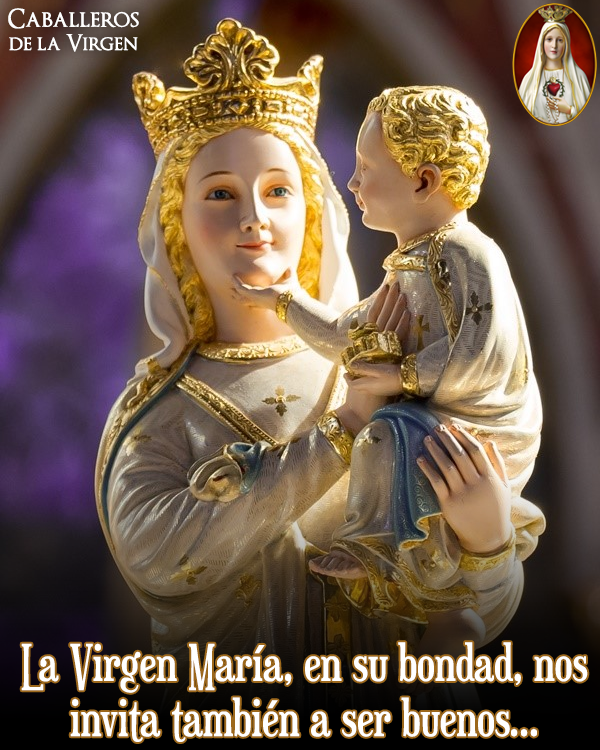 Caballeros de la Virgen tweet media