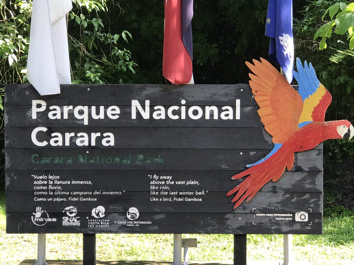 Sci8Mrsjp's tweet photo. Discovering diversity in the Costa Rican Rain Forest in Carara National Park. So amazing to see  the colorful flowers, frogs and insects. @WSMSLovejoyISD @lovejoyisd1 @WorldStrides https://t.co/4df8nDG3Iv