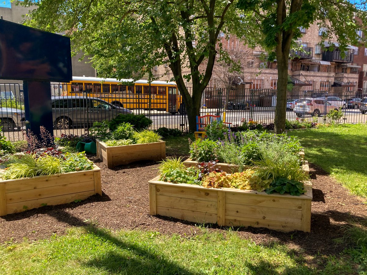 thehort's tweet photo. June Bloom 🤩🌱🌸 Outdoor classroom space at P.S. 380 John Wayne Elementary School 🏫 Thank you to our partners at City Council #District33 who help us bring kids to the garden, and bring the garden to the kids!

@LincolnRestler 
@NYCCouncil 

#LearningGardens #JuneBloom https://t.co/KOACElPdyb