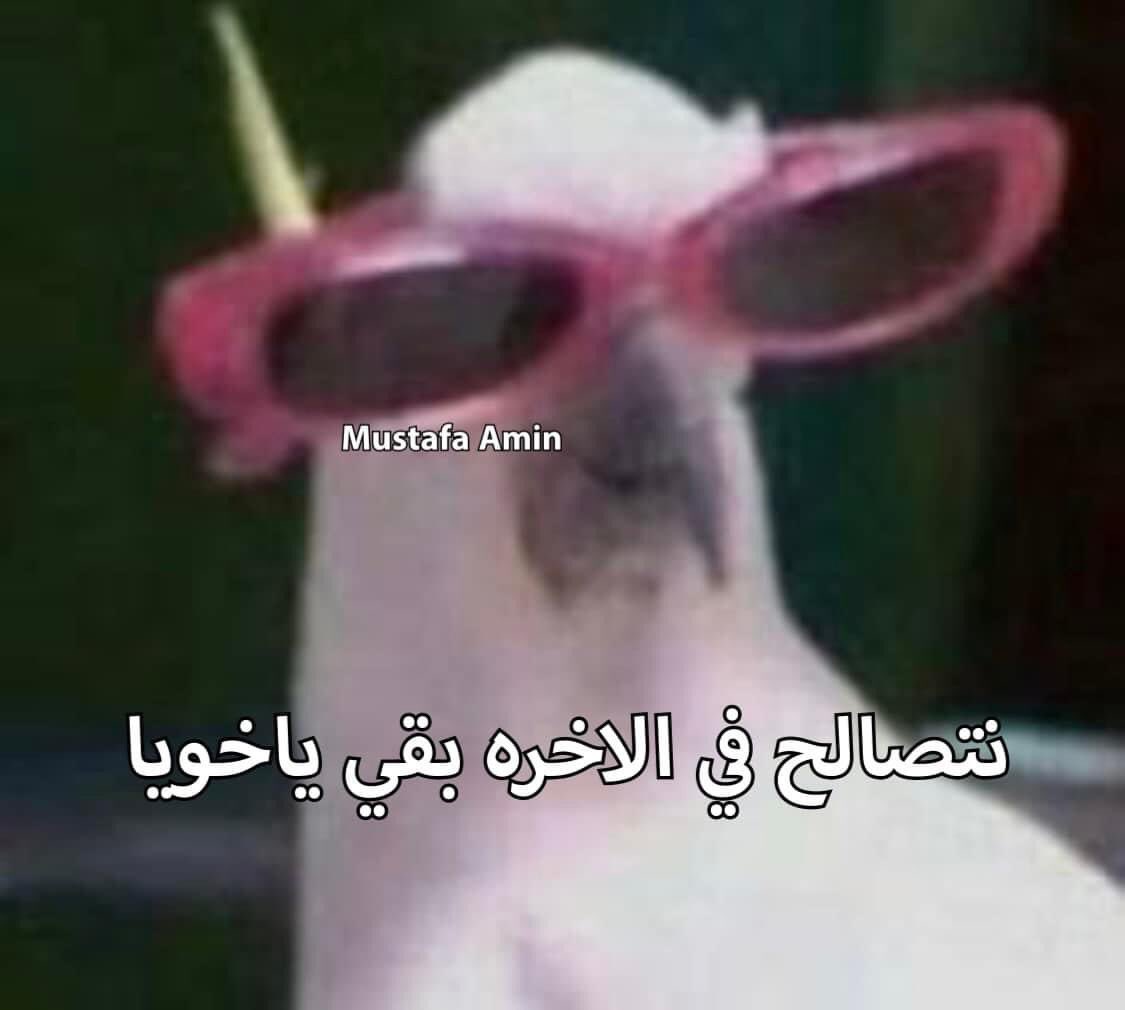 egymeme11's tweet photo. لما اكون كاريزما ومبصالحش حد واتخانق مع حد كاريزما اكتر مني https://t.co/SdzLzHc9vk