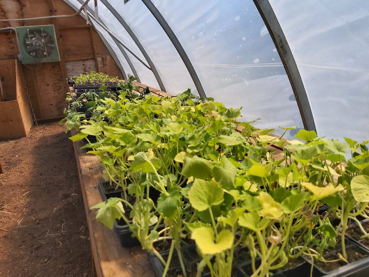 The public is invited to today's @cdcsag Specialist High Skills Major open house at Chesley District Community School, which continues until 6 p.m. Come learn about our unique hands-on Agriculture program in #BWDSB!