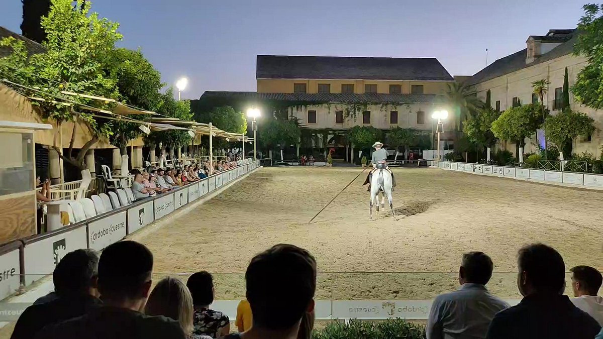 Decidilo tweet media