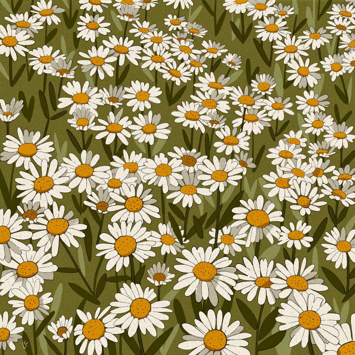 LibbyFrame's tweet photo. Fields https://t.co/CxPTIKLW1K