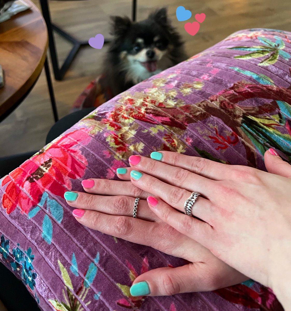 ĕ̈s 🪴 tweet media