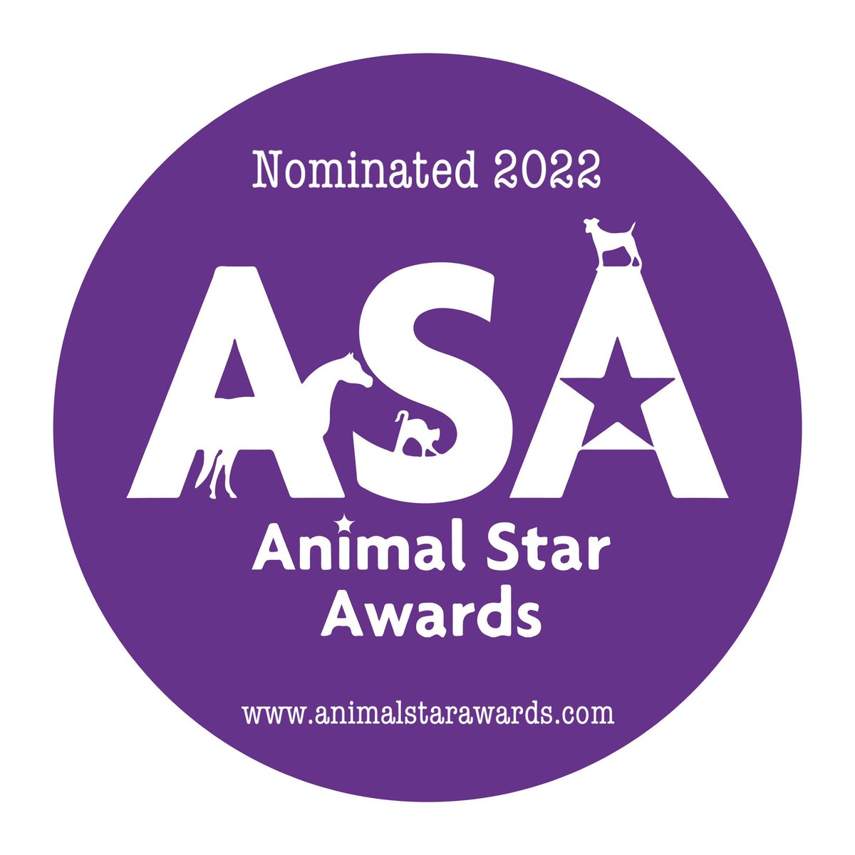 feeling quite overwhelmed to hear today that someone has taken the time & feels us worthy of a nomination for @animalstaruk thank you so much,wouldn’t it be wonderful if a little charity like ours progressed to the next stage, flying the flag for small but mighty equine charities