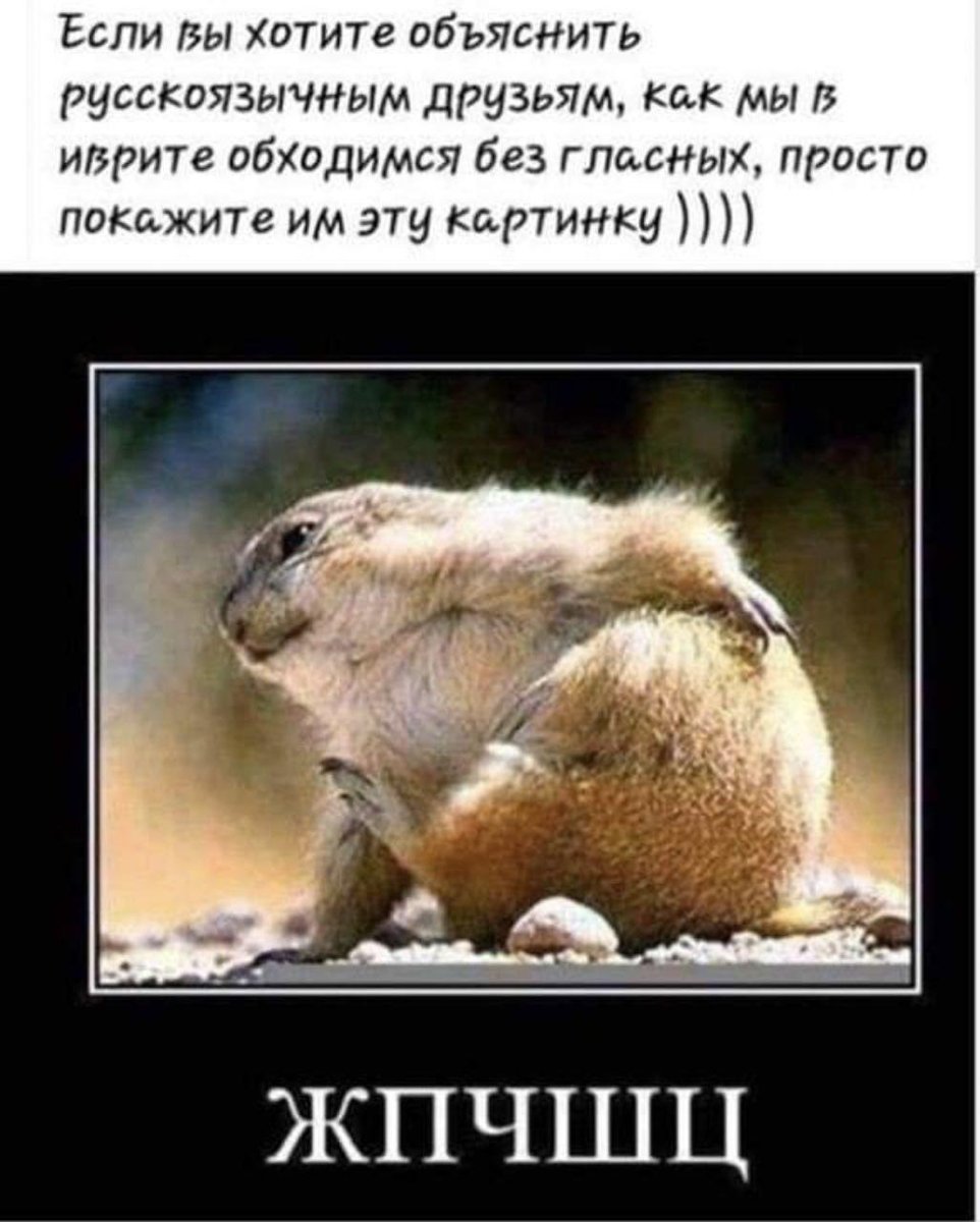 Писатели и Философы (@pisatelifilosof) on Twitter photo 