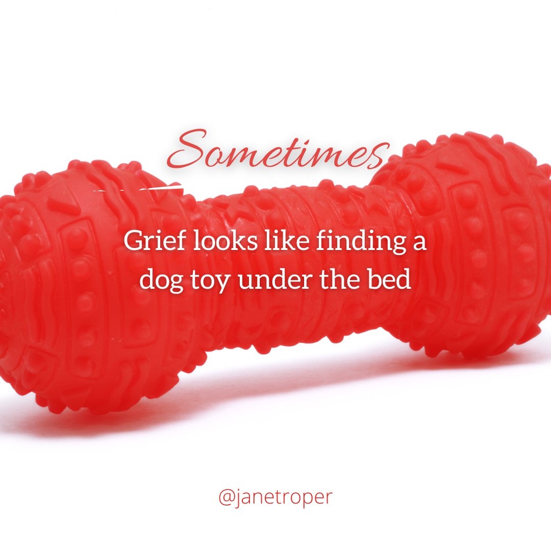 JanetRoper's tweet photo. #angelanimals #grief #griefquotes #grievingyourpet #pets #animals #dogs #cats #horses #rabbits #seniordogs #petdeath https://t.co/bN68ZEYNws