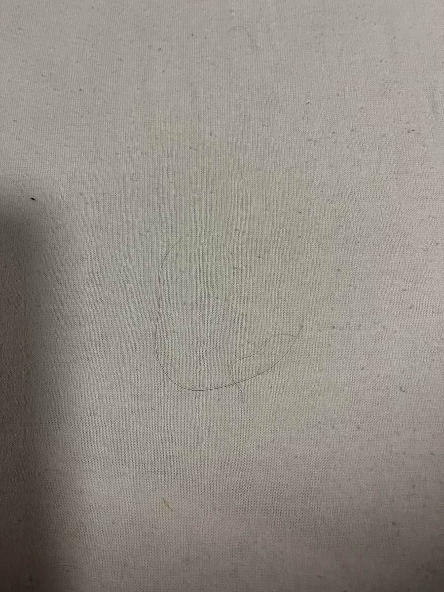 Helèna Hicks tweet media