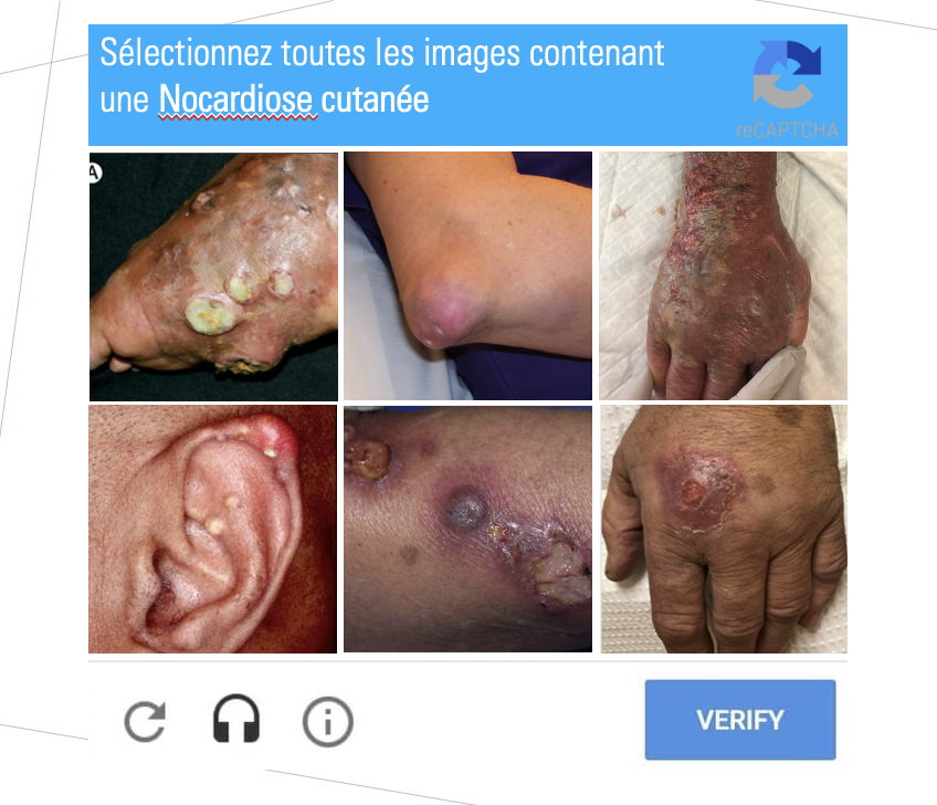 Florence Côté tweet media